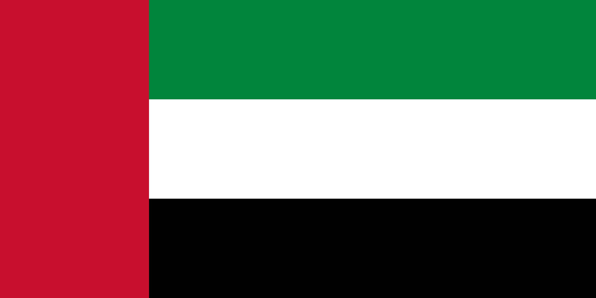 العربية flag